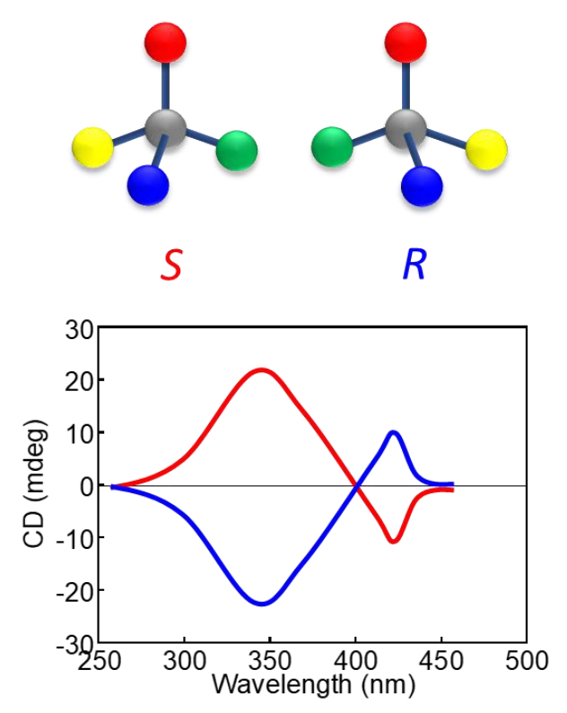 図2　有機キラル（光学活性）分子と円偏光二色性（CD）スペクトル