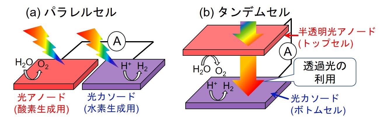 図1　（a）光アノードと光カソードを隣接して配置するパラレルセル，及び（b）上下に重ねた構成とするタンデムセルを用いた光電気化学的な水の全分解反応の模式図。