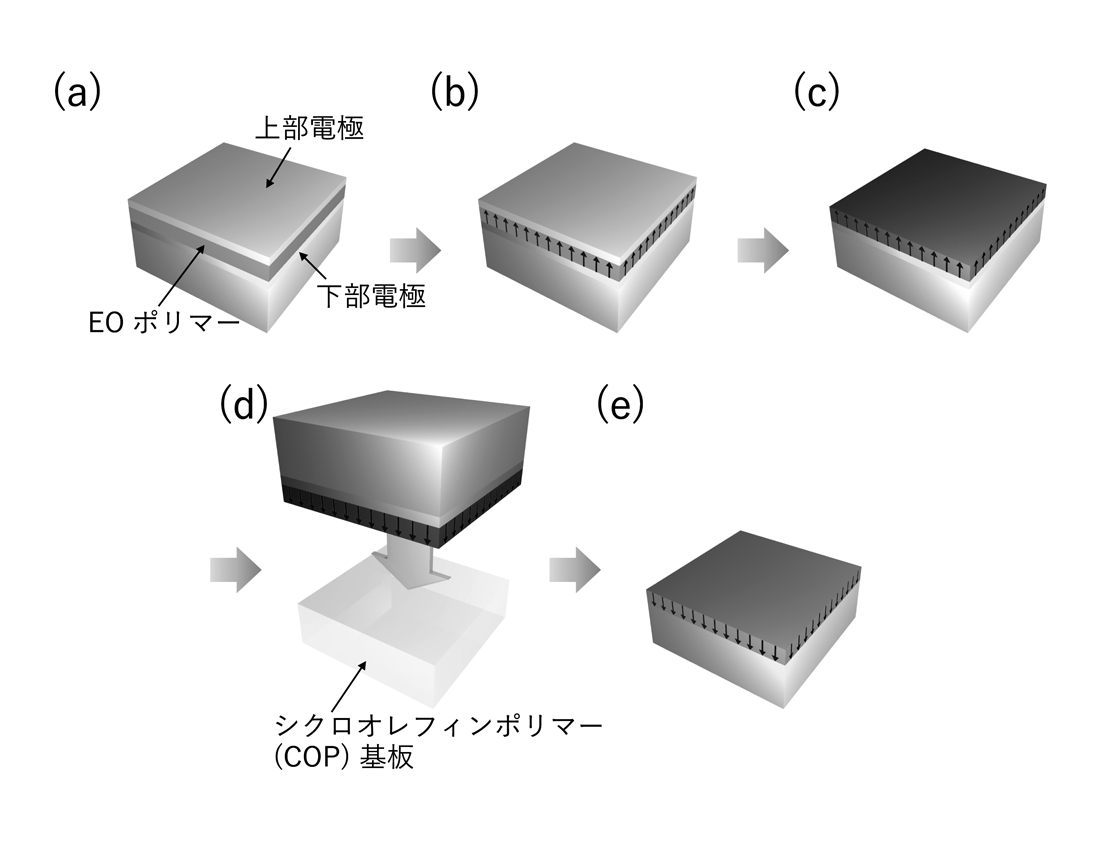 図2　 転写法による電気光学（EO）ポリマーデバイスの作製プロセス; （a）下部電極，EOポリマー層，上部電極の形成，（b）EOポリマー層のポーリング，（c）上部電極の除去，（d），（e）EOポリマー層の転写