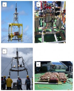 海洋研究開発機構、マリアナ海溝海底における、 活発な有機物の供給と微生物活性を発見