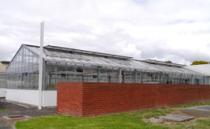 三菱樹脂アグリドリームら，オーストラリアで太陽光利用型植物工場の実証試験を開始