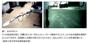 筑波大と東工大、水泳におけるヒトの推進メカニズムを水泳ロボットを用いて多角的に 解明