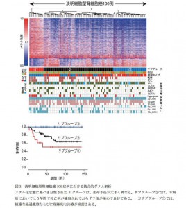 京大と東大、腎臓癌に関する最大規模のゲノム解析を実施