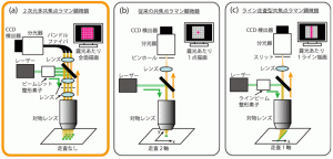 東京インスツルメンツほか、カメラのように一瞬で画像が取得できる 「２次元多共焦点ラマン顕微鏡」の実用化に成功