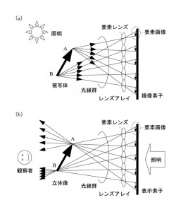 図1　インテグラルイメージング方式の原理；（a）撮像，（b）表示