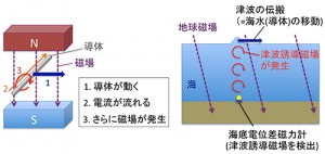 海洋研究機構、東日本大震災で発生した津波が巨大化した原因となった場所を特定