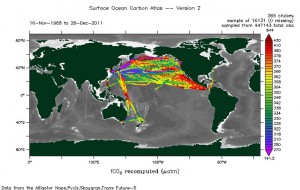環境研、北太平洋表層の二酸化炭素の分布を解明