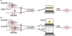 分子研、光の波が振動する様子を直接計測する新しい光技術を開発