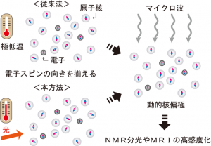阪大、極低温を用いずNMR信号強度を飛躍的に増大させる手法を開発