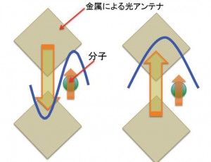 大阪府立大学，微弱な光の波長を高効率に変換できる新原理を解明