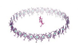 京大，光合成細菌の反応中心と集光アンテナタンパク質との複合体の構造を解明