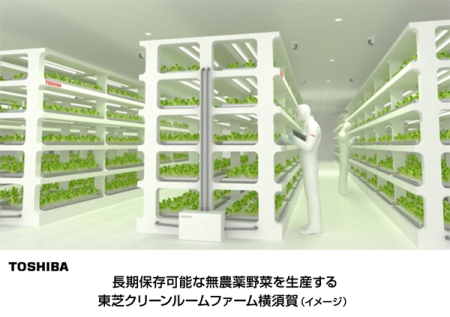 東芝，植物工場での野菜生産を事業化