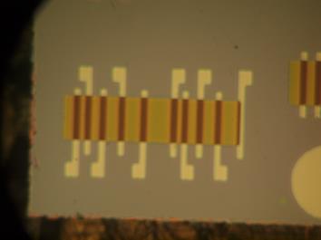 岡山大，世界最高レベルの電界効果移動度を有する有機薄膜トランジスタを開発