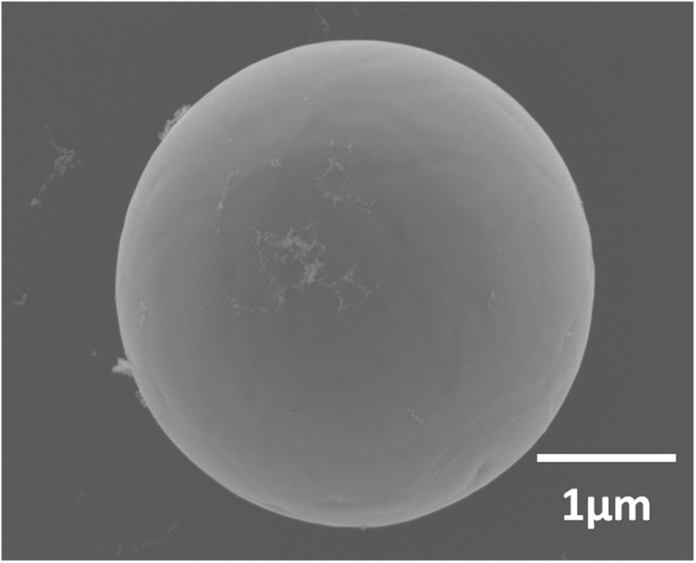 阪大，直径数㎛の真球形状をした単結晶を作製