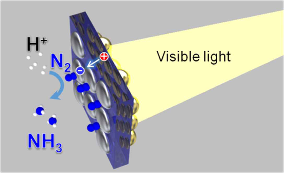 北大，可視光を用いて空気中の窒素をアンモニアに変換する人工光合成を開発