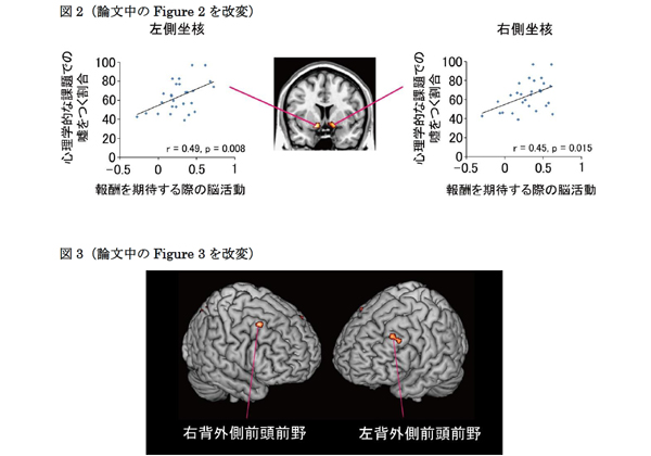 京大，fMRIを用いて「嘘つき」と「正直者」の脳の活動の違いを解明