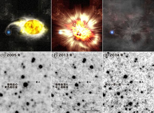 カブリIPMU，超新星理論の予測を証明する青色の星を発見