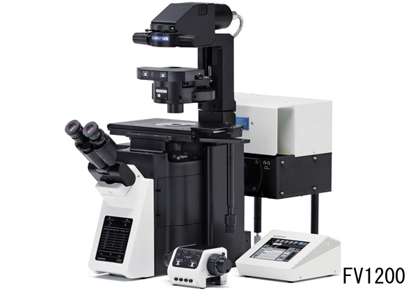 オリンパス，共焦点レーザ走査型顕微鏡で約120nmの超解像技術を開発