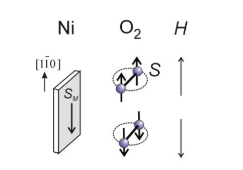NIMS，表面酸化反応への酸素分子スピンの影響を初めて観測
