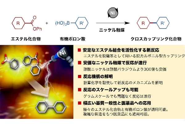 名大ら，エステル/有機ホウ素化合物の新反応を開発