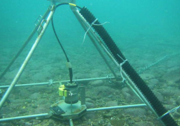古河電工ら，光ファイバによる海洋観測システムを実証