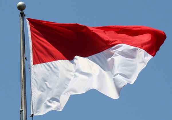 パイオニア，インドネシアで自動車ビジネスを強化