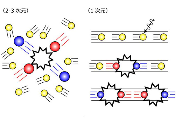 阪大ら，1次元系特有の電子の状態・動きを初めて観測