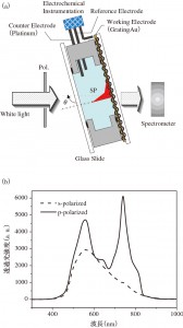 図1　（a）電気化学測定と組み合わせたグレーティングカップリング透過型プラズモン共鳴測定配置と（b）p偏光，s偏光で入射した場合の透過光強度