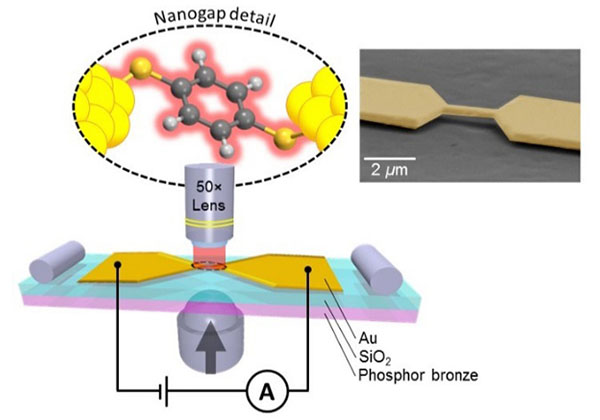 東工大，分子の吸着構造を区別できる分光法を開発