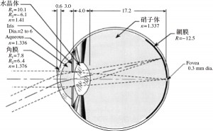 図1　肉眼の光学的構成 （B. H. Walker, Optical Engineering Fundamentals, SPIE Press（2008））