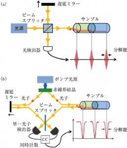図1　（a）光コヒーレンストモグラフィ（OCT）および（b）量子光コヒーレンストモグラフィ（量子OCT）の原理図7）