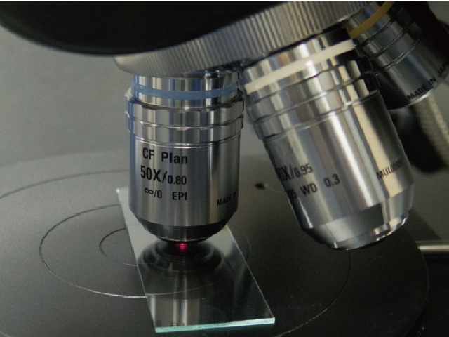 非線形光学顕微鏡を用いてラベルフリーによる網膜内構造の可視化に成功