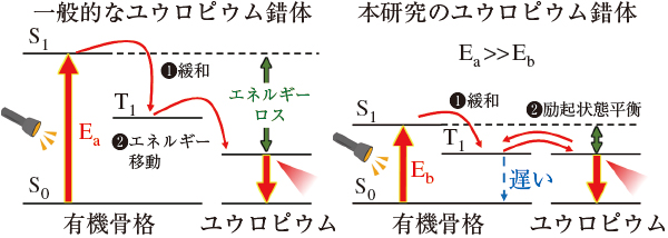 図6　ユウロピウム錯体の励起状態ダイナミクス制御（S0：基底状態，S1：励起一重項状態，T1：励起三重項状態）