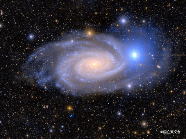 NAOJら，93個の衛星銀河の候補天体を発見