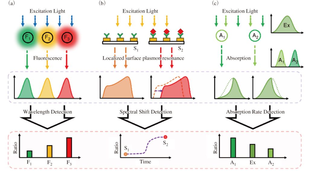 図3　（a）波長の検出，（b）スペクトル変化，（c）吸光度計測の概略図
