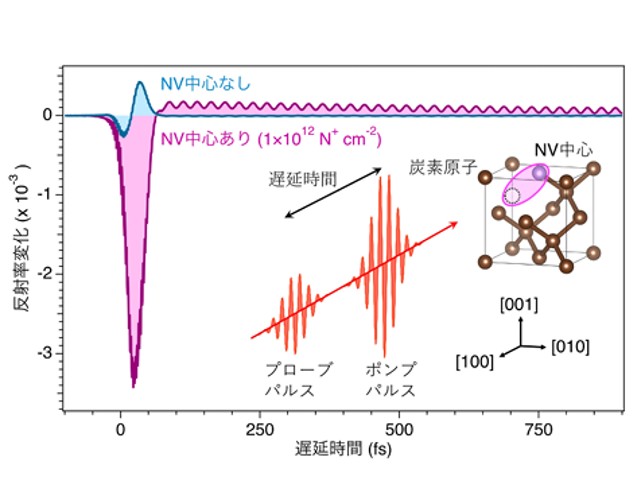 筑波大ら，NV中心から飛び出す準粒子を発見