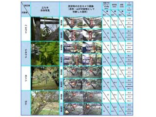 ビジュアルサーボ，複眼カメラとAIで空間計測を実証