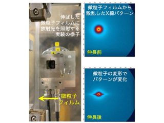 弘前大，強靭な高分子材料の構造を放射光により解明