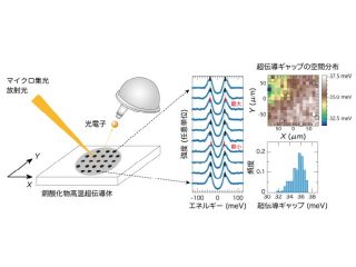 広島大ら，放射光顕微観察技術を世界で初めて開発