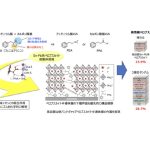 京大ら，タンデム型オールペロブスカイトPVを実現の画像