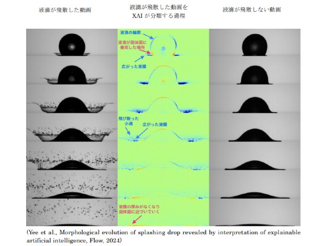 農工大，説明可能なAIによる液滴衝突の観察手法開発