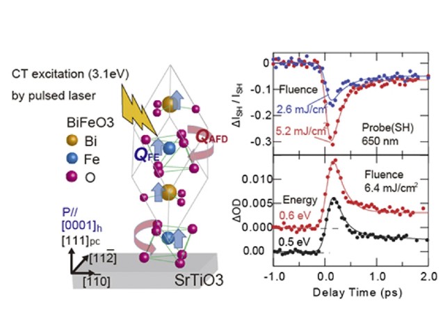 筑波大ら，マルチフェロイック物質を100fs光制御