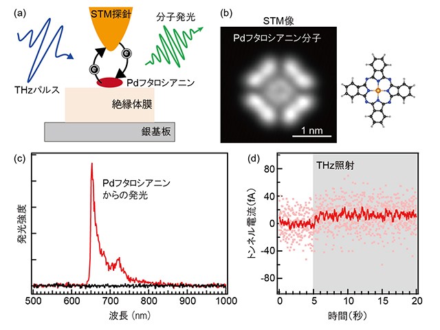 理研ら，テラヘルツ光で単一分子発光を誘起