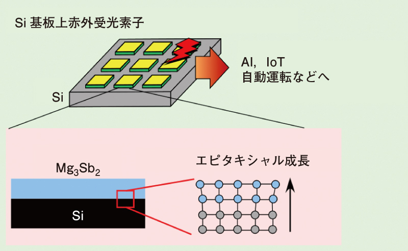 図1　Si基板上赤外受光素子の概略。