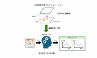 筑波大、拡散光トモグラフィ診断を100万倍以上高速化するAIモデルを開発