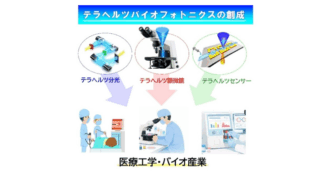 早大と岡山大、テラヘルツバイオフォトニクス実用化に向けた技術ロードマップを提示