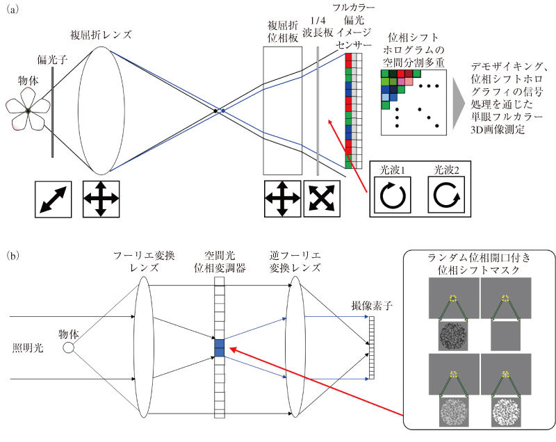 図1 日常光デジタルホログラフィの概略。(a)自己干渉に基づく完全パッシブホログラフィ,(b)自己参照に基づき定量位相3次元計測するホログラフィの光学システム。