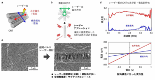 東京理科大など、超短パルスレーザーでCNTの局所配向を実現