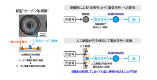 遺伝学研究所など、3次元カーボン電極を集積した光起電力型人工網膜を開発