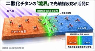 広島大とKEKなど、二酸化チタン光触媒の反応分布を可視化　結晶界面で反応が最大に